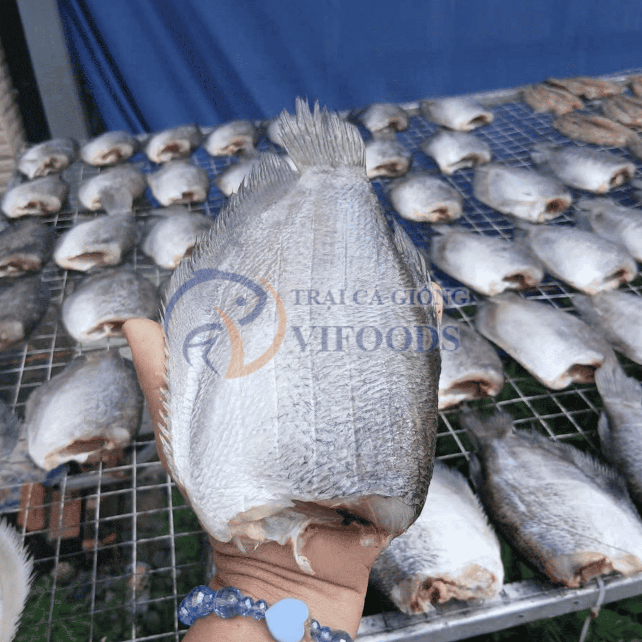 Khô cá sặc rằn phơi nắng đặc sản miền Tây